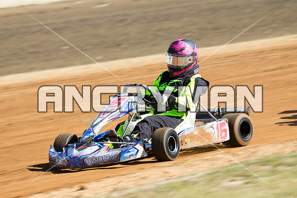 kart 16 t16 - 4 - Latrobe - 25th October 2014-4