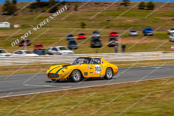 Regularity Sports & Racing & Invited - 103 - Baskerville Historics 2024