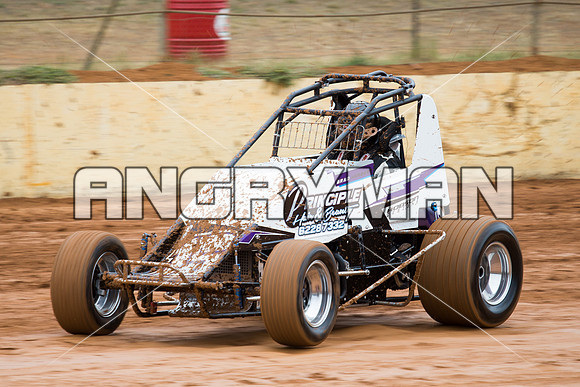 wingless 15 T15 - 6 - Carrick - 8th Nov 2014-2