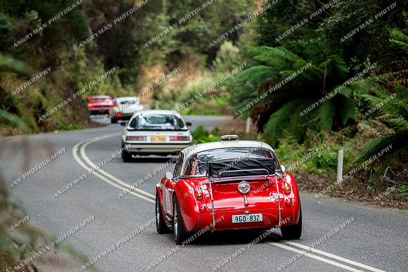 Historic Rally - 4 - Hellyer Gorge - JL-19