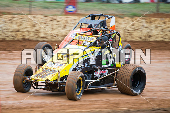 wingless 17 T17 - 3 - Carrick - 18th October 2014-10