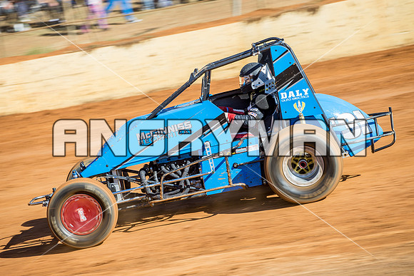 wingless 31 T31 - 12 - Carrick - 26th Dec 2014-5