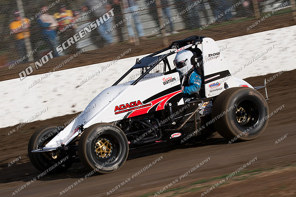wingless 5 t5 t05 - 7 - Hobart 19th November 2011-3