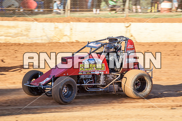 wingless 83 T83 - 12 - Carrick - 26th Dec 2014
