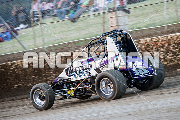wingless 15 t15 brad herbert - 7 - Hobart - 22nd Nov 2014-2
