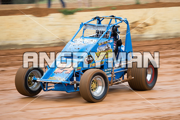 wingless 24 T24 - 6 - Carrick - 8th Nov 2014-6