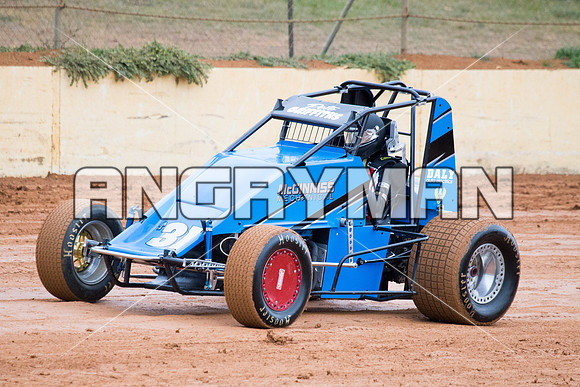 wingless 31 T31 - 3 - Carrick - 18th October 2014