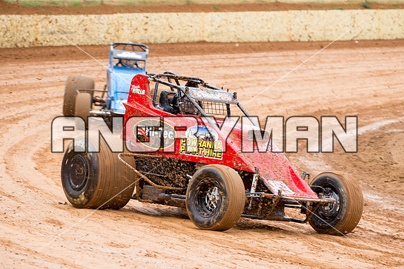 wingless 83 T83 - 6 - Carrick - 8th Nov 2014-2