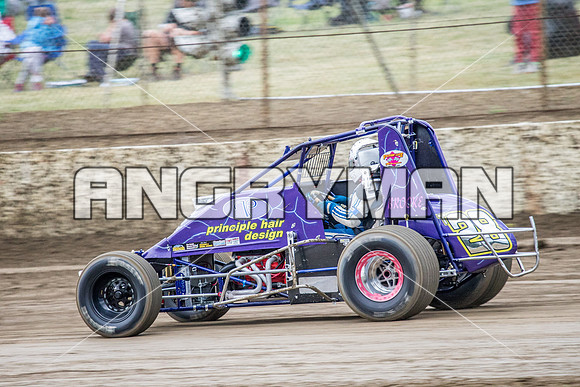 wingless 28 t28 tim herbert - 7 - Hobart - 22nd Nov 2014-2