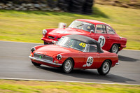 48 - Regularity - Marque Sportscars & Invited-14