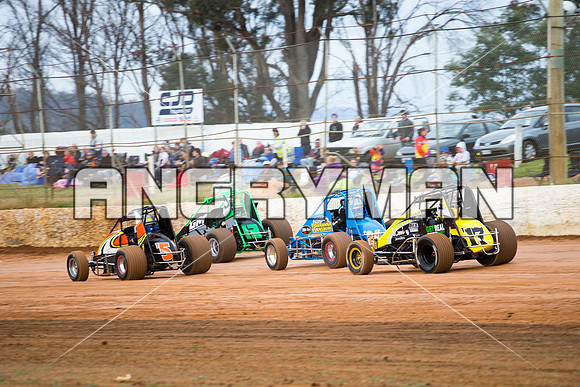 wingless 17 T17 - 3 - Carrick - 18th October 2014-8