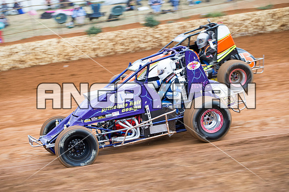 wingless 28 t28 tim herbert - 6 - Carrick - 8th Nov 2014-9