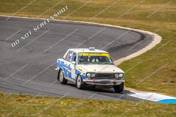 Regularity Sedans - 72 - Baskerville Historics 2024-3