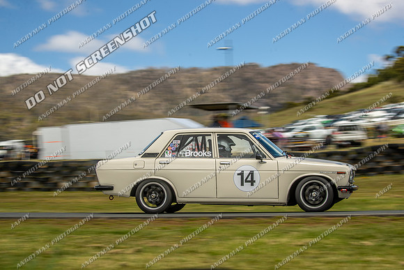 Regularity Sedans - 14 - Baskerville Historics 2024-8