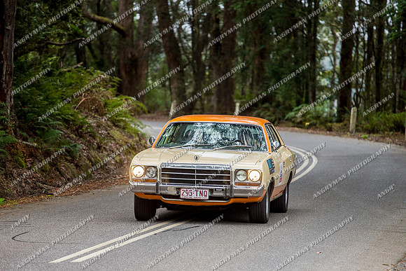 Historic Rally - 4 - Hellyer Gorge - JL-51