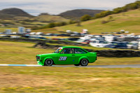 Muscle Car Cup - 38 - Baskerville Historics 2024-9