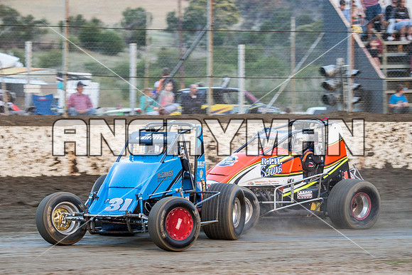 wingless 31 t31 peter griffiths - 7 - Hobart - 22nd Nov 2014-4