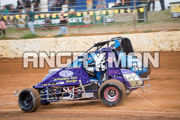 wingless 28 t28 tim herbert - 6 - Carrick - 8th Nov 2014-7