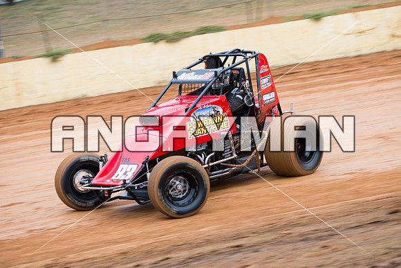 wingless 83 T83 - 3 - Carrick - 18th October 2014-2