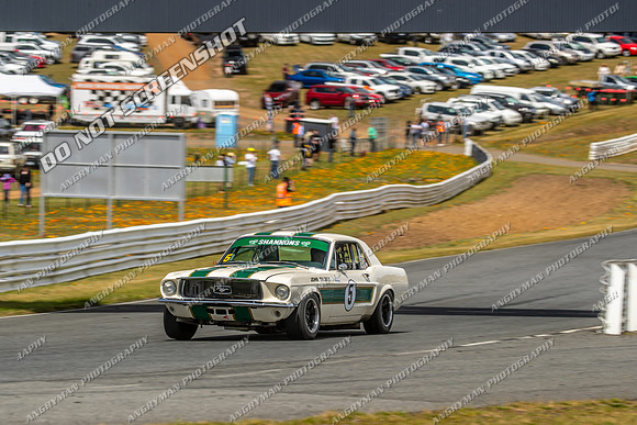 Group Nb & Nc Touring Cars - 5 - Baskerville Historics 2024-8