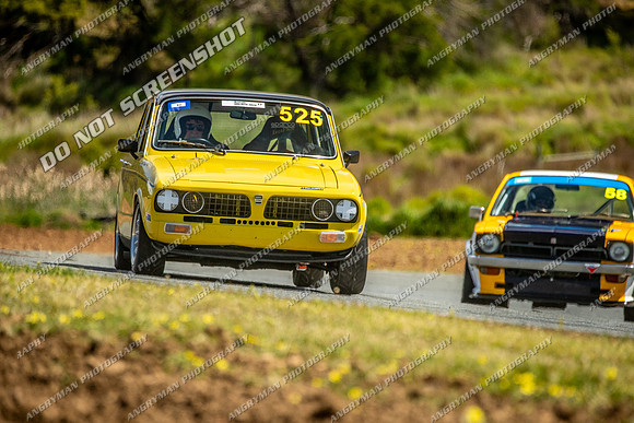 Regularity Sedans - 525 - Baskerville Historics 2024-13