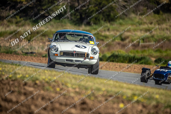 Regularity Sports & Racing & Invited - 3 - Baskerville Historics 2024-9