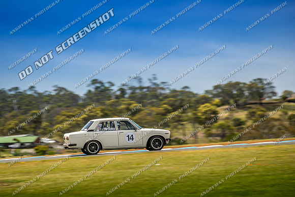Regularity Sedans - 14 - Baskerville Historics 2024-6