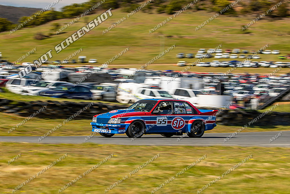 Muscle Car Cup - 55 - Baskerville Historics 2024-36