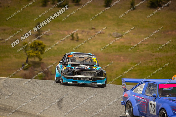 Sports Sedans - 36 - Baskerville Historics 2024-7