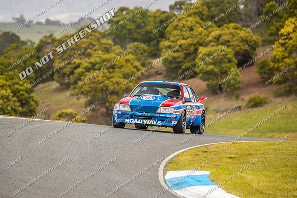 Muscle Car Cup - 55 - Baskerville Historics 2024-11