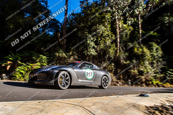 917 - Sunday GS-2