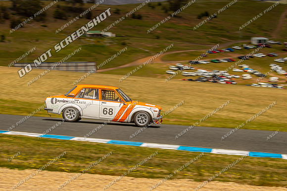 Muscle Car Cup - 68 - Baskerville Historics 2024-9
