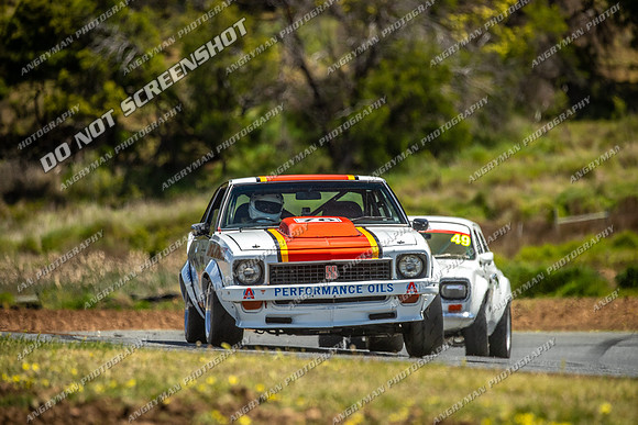 Muscle Car Cup - 76 - Baskerville Historics 2024-7