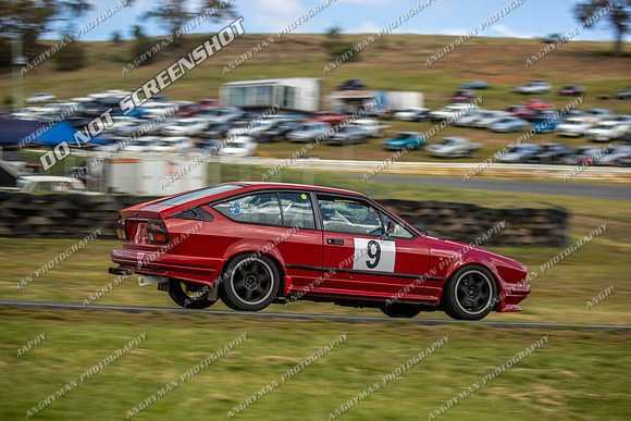 Regularity Sedans - 9 - Baskerville Historics 2024-8