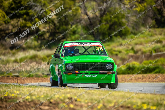 Muscle Car Cup - 38 - Baskerville Historics 2024-22
