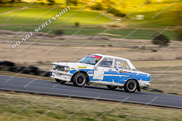 172 - Baskerville Historic Sprints-15