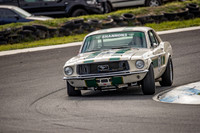 5 - Baskerville Historics 2018-17