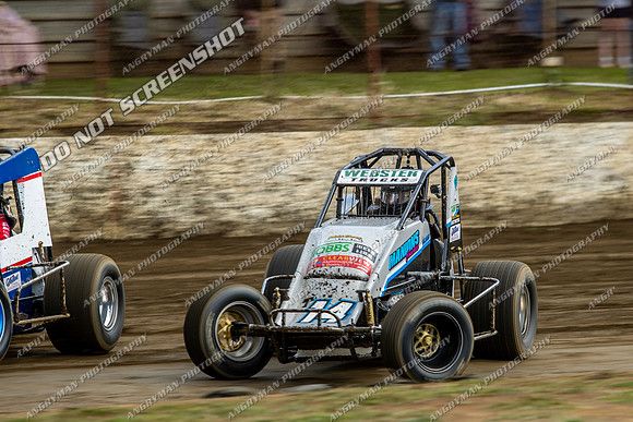 Wingless 14 T14 - 02 - Hobart - 4th Nov 2023-3