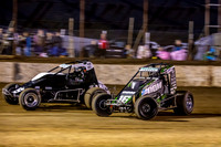 Wingless 16 T16 - 02 - Hobart - 4th Nov 2023-19