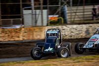 Wingless 4 T4 - 02 - Hobart - 4th Nov 2023-3