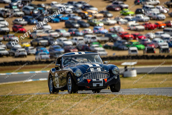 Group LB S & Invited Sports Cars - 80 - Sunday-4