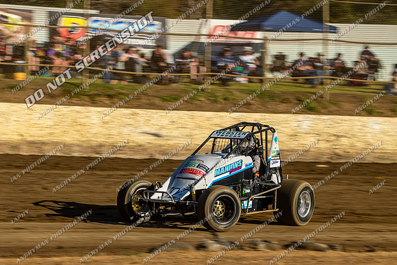 Wingless 14 T14 - 03 - Latrobe - 11th Nov 2023