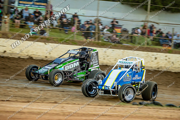 Wingless 21 T21 - 03 - Latrobe - 11th Nov 2023