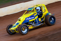 Wingless