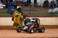 Wingless