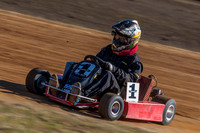 Karts