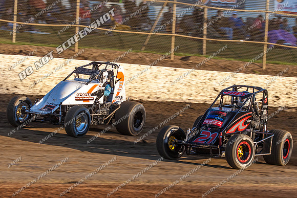wingless 21 - 4 - Latrobe 27th Oct 2012-2