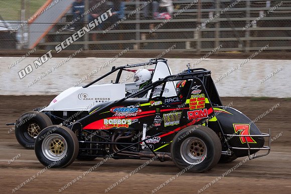 wingless 7 - 5 - Hobart 3rd Nov 2012