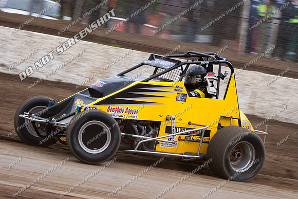 wingless 17 - 5 - Hobart 3rd Nov 2012-2