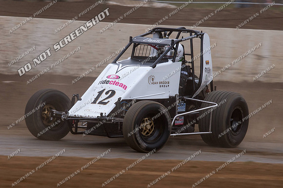 wingless 12 - 5 - Hobart 3rd Nov 2012-3
